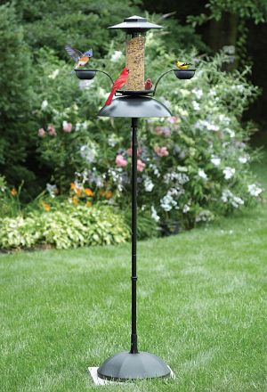 Effortless Oasis Feeder, Effortless
				bird feeder