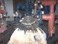 Glass Lined Reactor: Pfaudler 1000 gallon Glass Lined Reactor #5015