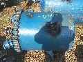 Glass Lined Tank  - 100 gallon Pfaudler Glass Lined Tank