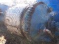 Glass Lined Tank: Pfaudler 750 gallon glass lined storage tank