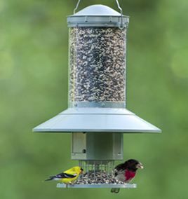 Wingscapes Auto Feeder - You determine when, how much, and how often birds are fed.