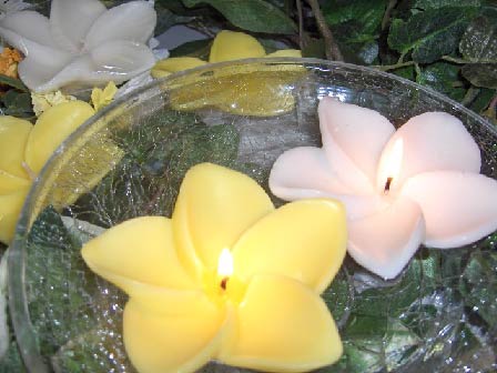 12 Pack Plumeria Floating Candles