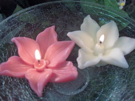 12 Pack Freesia Floating Candles