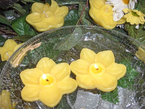 Daffodil Floating Candles