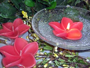 Plumeria Floating Candles
