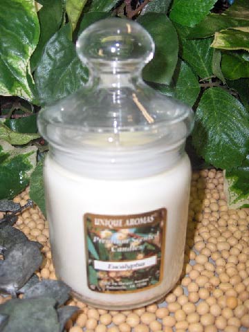 9.5oz Apothecary jar Candles