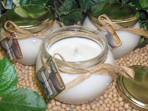 13oz Soy romeo Jar Candle