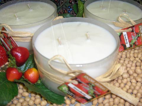 2-Wick round soy Jar Candle