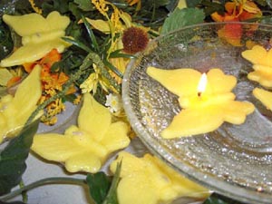 Butterfly Floating Candles