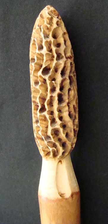 Morel Mushroom Carved and Finished Walking Stick Amish Handmade