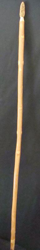 hiking mushroom stick handmade rustic unique gift