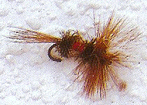 renegade fly