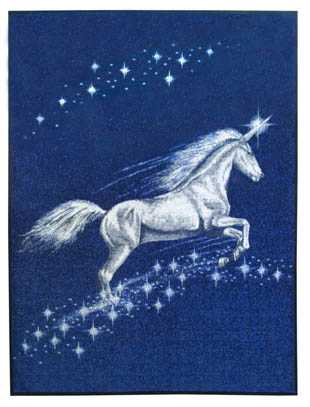 Unicorn Blanket