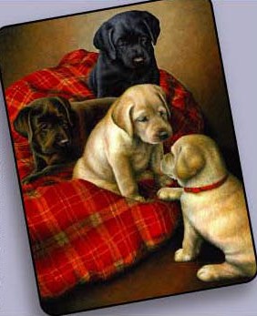 Raschel Retriever Throw