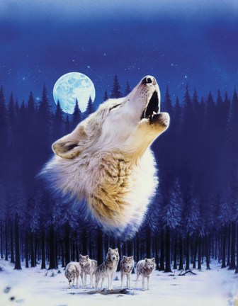 Howling Wolf Blanket