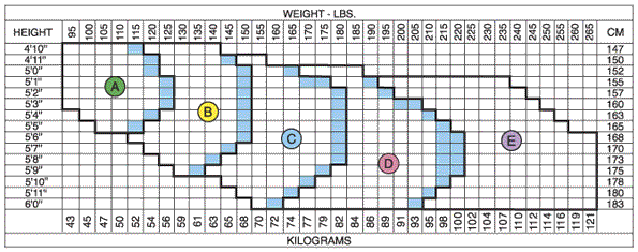 Spanx Higher Power Magic Knickers Size Chart