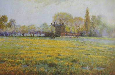 Dandelion Field by James Harwood