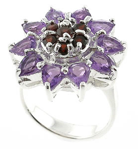 Sterling 925 Silver Garnet and Amethyst Ring DSR23890