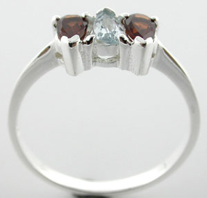 Sterling 925 Silver Garnet and Blue Topaz Ring DSR23590