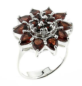 Sterling 925 Silver Garnet Ring DSR23890