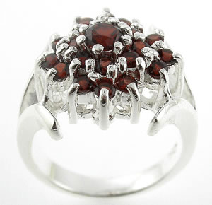 Sterling 925 Silver Garnet Ring ESR2055