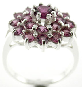 Sterling 925 Silver Rhodolite Ring ESR3035