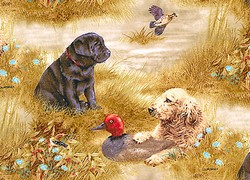 Dog Baby quilt, Puppies Toddler Quilts, Baby Dog Quilt, Baby Dog Comforter, Baby Dog Comforters, Baby Dog Duvet, Baby Dog Duvets, Baby Bedroom dogs, Crib Bedding dogs, dog baby quilts, puppies Baby crib bedewing, dog Toddler Crib Bedding, Puppies baby nursery, dog baby nursery, dogs crib bedding dog crib bedding, puppies Nursery Accessories, dog baby Products, dog toddler Items, Dog theme Nurseries, Babies bedding dogs, Toddlers bedding dogs, embroidered dog quilt pattern, dog quilt pattern, dog quilt, dog quilt patterns, dog in the hat bedding, baby calico dog, dog bag, dog tote bag, dog tapestry tote bag, Bengal dogs tote bag, dogs and dogs nursery theme, dog in the hat baby nursery, dog shopping bag, children's bedding with puppies, Cheshire dog messenger bag, black dog creations quilt, Cheshire dog bag, quilt fabric dog, gingham dog calico dog quilt, dog cheater quilt fabric, dog in the hat nursery, dog baby stuff, dog quilt, dog children's bedding, dog crib bedding, dog bedding, child bedding with dog, cute baby dog, dog-quilt, dogs bag, dog crib bedding, crib bedding dogs baby crib dog collection, crib bedding puppies, puppy dog queen quilt 85 x 95, dog theme full size quilt, puppies children's bedding, puppy dog king quilt 95 x 105, dog fabric quilt, dog quilt designs, bag dog, children's bedding puppies, dog quilt, dog quilt, dogs baby bedding, dog hat bedding, dog print bedding, dog-cosmetic-bags, dog quilt pattern, dog theme bedding, baby bedding dogs theme, checkered dog quilt, cute dog quilt, quilt dog silhouettes pattern, bedding dog kid, dog diaper bag, dog make quilt, dog quilt, dogs kids bedding twin, baby bedding dogs, baby dog, kids' bedding dogs comforter, puppies bedding, bedding dog girl, black dog quilt, cameo dog quilt, dog baby stuff, dogs nursery theme, puppies nursery dog bedding, dog lovers bedding, dog-tote-bag, dog bedding, puppies children's bedding, dog bed dog beds dogs beds bedding luxury designer, dog quilt, new baby and a dog, puppy dog kids bedding twin