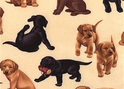 Dog Baby quilt, Puppies Toddler Quilts, Baby Dog Quilt, Baby Dog Comforter, Baby Dog Comforters, Baby Dog Duvet, Baby Dog Duvets, Baby Bedroom dogs, Crib Bedding dogs, dog baby quilts, puppies Baby crib bedewing, dog Toddler Crib Bedding, Puppies baby nursery, dog baby nursery, dogs crib bedding dog crib bedding, puppies Nursery Accessories, dog baby Products, dog toddler Items, Dog theme Nurseries, Babies bedding dogs, Toddlers bedding dogs, embroidered dog quilt pattern, dog quilt pattern, dog quilt, dog quilt patterns, dog in the hat bedding, baby calico dog, dog bag, dog tote bag, dog tapestry tote bag, Bengal dogs tote bag, dogs and dogs nursery theme, dog in the hat baby nursery, dog shopping bag, children's bedding with puppies, Cheshire dog messenger bag, black dog creations quilt, Cheshire dog bag, quilt fabric dog, gingham dog calico dog quilt, dog cheater quilt fabric, dog in the hat nursery, dog baby stuff, dog quilt, dog children's bedding, dog crib bedding, dog bedding, child bedding with dog, cute baby dog, dog-quilt, dogs bag, dog crib bedding, crib bedding dogs baby crib dog collection, crib bedding puppies, puppy dog queen quilt 85 x 95, dog theme full size quilt, puppies children's bedding, puppy dog king quilt 95 x 105, dog fabric quilt, dog quilt designs, bag dog, children's bedding puppies, dog quilt, dog quilt, dogs baby bedding, dog hat bedding, dog print bedding, dog-cosmetic-bags, dog quilt pattern, dog theme bedding, baby bedding dogs theme, checkered dog quilt, cute dog quilt, quilt dog silhouettes pattern, bedding dog kid, dog diaper bag, dog make quilt, dog quilt, dogs kids bedding twin, baby bedding dogs, baby dog, kids' bedding dogs comforter, puppies bedding, bedding dog girl, black dog quilt, cameo dog quilt, dog baby stuff, dogs nursery theme, puppies nursery dog bedding, dog lovers bedding, dog-tote-bag, dog bedding, puppies children's bedding, dog bed dog beds dogs beds bedding luxury designer, dog quilt, new baby and a dog, puppy dog kids bedding twin