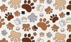Dog Baby quilt, Puppies Toddler Quilts, Baby Dog Quilt, Baby Dog Comforter, Baby Dog Comforters, Baby Dog Duvet, Baby Dog Duvets, Baby Bedroom dogs, Crib Bedding dogs, dog baby quilts, puppies Baby crib bedewing, dog Toddler Crib Bedding, Puppies baby nursery, dog baby nursery, dogs crib bedding dog crib bedding, puppies Nursery Accessories, dog baby Products, dog toddler Items, Dog theme Nurseries, Babies bedding dogs, Toddlers bedding dogs, embroidered dog quilt pattern, dog quilt pattern, dog quilt, dog quilt patterns, dog in the hat bedding, baby calico dog, dog bag, dog tote bag, dog tapestry tote bag, Bengal dogs tote bag, dogs and dogs nursery theme, dog in the hat baby nursery, dog shopping bag, children's bedding with puppies, Cheshire dog messenger bag, black dog creations quilt, Cheshire dog bag, quilt fabric dog, gingham dog calico dog quilt, dog cheater quilt fabric, dog in the hat nursery, dog baby stuff, dog quilt, dog children's bedding, dog crib bedding, dog bedding, child bedding with dog, cute baby dog, dog-quilt, dogs bag, dog crib bedding, crib bedding dogs baby crib dog collection, crib bedding puppies, puppy dog queen quilt 85 x 95, dog theme full size quilt, puppies children's bedding, puppy dog king quilt 95 x 105, dog fabric quilt, dog quilt designs, bag dog, children's bedding puppies, dog quilt, dog quilt, dogs baby bedding, dog hat bedding, dog print bedding, dog-cosmetic-bags, dog quilt pattern, dog theme bedding, baby bedding dogs theme, checkered dog quilt, cute dog quilt, quilt dog silhouettes pattern, bedding dog kid, dog diaper bag, dog make quilt, dog quilt, dogs kids bedding twin, baby bedding dogs, baby dog, kids' bedding dogs comforter, puppies bedding, bedding dog girl, black dog quilt, cameo dog quilt, dog baby stuff, dogs nursery theme, puppies nursery dog bedding, dog lovers bedding, dog-tote-bag, dog bedding, puppies children's bedding, dog bed dog beds dogs beds bedding luxury designer, dog quilt, new baby and a dog, puppy dog kids bedding twin