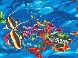 Fish Baby Bedding, Dolphins Baby Quilts, Dolphin Turtle Toddler Quilts, Ocean Baby Crib Bedding, Dolphin Nursery Bedding, Sea Baby Crib Bedding, Ocean Baby Nursery, Fish Baby Bedding, Under the Sea Crib Bedding, Fish Bedding for Kids, Ocean Baby Bedding, Under the Sea Nursery Ideas, Ocean Themed Bedding, Nursery Fish Theme, Crib Bedding Tropical Fish, Crib Bedding Ocean, Sea Life Bedding, Toddler Bed Sets with Fish, Under the Sea Baby Nursery, Tropical Fish Nursery Accessories