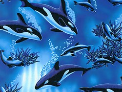 Under the sea baby bedding, Ocean Songs Laurel Burch, Ocean Baby Bedding, Fishes fish bedding, Sea Crib Bedding, under sea crib bedding, fish baby bedding Teel, Ocean Baby quilts, fish baby quilts, Toddler Quilts tropical fish, Ocean Baby Crib Bedding, Nursery Fish theme, deep sea bedding, under sea nursery, fish crib bedding girls, crib bedding tropical fish, crib bedding ocean, sea life bedding, Ocean Nursery Accessories