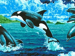Whales & Dolphins Baby Bedding, Orca orcas Crib Bedding, Sealife Baby Bedding, Whale Baby Bedding, Dolphin Baby Bedding, Ocean whales Baby Quilts, whales toddler quilts, dolphins kids bedding, Ocean Baby quilts, sea Toddler Quilts, sea life Baby Crib Bedding, Sea Bedding, Ocean Bedding, Sea Crib Bedding, under sea crib bedding, ocean baby bedding, ocean themed bedding, crib bedding ocean, whale nursery accessories, dolphins nursery accessories, Ocean Nursery Accessories