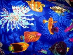 Rainbow Hawaiian Fish Baby Bedding, Fish Crib Bedding, Sealife Baby Bedding, Sea Baby Bedding, Under Sea Baby Bedding, Ocean Baby Quilts, Tropical Fish toddler quilts, Fish kids bedding, Ocean Baby quilts, sea Toddler Quilts, sea life Baby Crib Bedding, Sea Bedding, Ocean Bedding, Sea Crib Bedding, under sea crib bedding, ocean baby bedding, ocean themed bedding, crib bedding ocean, fish nursery accessories, sea nursery accessories, Ocean Nursery Accessories