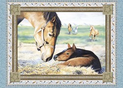 Beautiful Horses Western horses horse equine Baby & Toddler Quilts Quilt Comforter Comforters Duvet Duvets Bed Bedroom Girl Boy Girls Boys Toddler Infant Infants Newborns Newborn Nursery Bedding Set Sets products items Baby & Toddler Crib Bedding Horse Western Nursery Accessories
