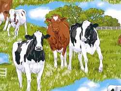 Farm Animal   Baby Toddler Quilts, Farm Animal Baby Crib Bedding, Farm Animal Nursery Accessories