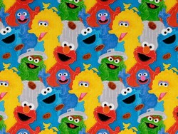 Sesame Street Muppets Cookie monster, Oscar grouch, Ernie, big bird, Elmo, Groover, Zoe, Gund, Bert Baby Toddler Quilts, Sesame Street Muppets Quilt, Sesame Street Muppets Comforter, Sesame Street Muppets Comforters, Sesame Street Muppets Duvet, Sesame Street Muppets Duvets, Sesame Street Muppets Bed Bedroom, Sesame Street Muppets Girl Boy Girls Boys, Sesame Street Muppets Toddler, Sesame Street Muppets Infant Infants Newborns Newborn Nursery Bedding Set, Sesame Street Muppets Sets, Sesame Street Muppets products items, Sesame Street Muppets Baby Toddler Crib Bedding, Sesame Street Muppets Nursery Accessories