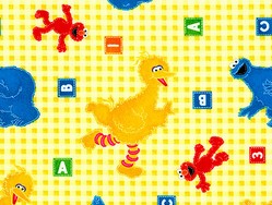 Sesame Street Muppets birthday Cookie monster, Oscar grouch, Ernie, big bird, Elmo, Groover, Zoe, Gund, Bert Baby Toddler Quilts Quilt Comforter Comforters Duvet Duvets Bed Bedroom Girl Boy Girls Boys Toddler Infant Infants Newborns Newborn Nursery Bedding Set Sets products items Sesame Street Muppets Babies Baby Toddler Crib Bedding Nursery Accessories