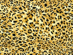 Jungle animal baby crib quilts, African safari baby quilts, zoo animal baby crib bedding, African animals baby comforters, elephant baby nursery bedding, lion baby nursery accessories, tiger baby bedding, tigers baby nursery accessory, giraffe baby bedding, giraffes baby crib bedding, baby bedding, baby bedding, baby bedding, hippopotamus children's bedding, baby nursery bedding, African animal baby quilts, baby bedding, baby quilts, jungle animal newborn crib bedding, zoo animal baby crib bedding, jungle animal baby bedding, newborn babies nurseries animals, Jungle Animals baby quilts, Zoo animal baby bedding, baby crib bedding animals, safari animals Baby Crib Bedding, Jungle Animals baby nursery bedding, Babies jungle animal baby crib bedding, Baby crib bedding animals, Baby's safari crib bedding, safari diaper Bag Bags, jungle baby crib bedding, jungle Boppy pillow, baby bedding, children's jungle Cirb bedding, safari baby bedding, Custom made safari jungle baby bedding, Jungle babies baby quilts, jungle babies baby quilt, Jungle babies baby bedding, baby crib bedding, Jungle theme baby crib bedding, animal theme baby crib bedding, animal baby crib beding, animal baby crib linen, animal baby quilts, zoo baby bedding, animal baby quilts, animals new born quilt, Jungle zoo quilts, baby crib quilts, African safari baby quilts, zoo animal baby crib bedding, elephant baby nursery bedding, lion baby nursery accessories, tiger baby bedding, tigers baby nursery accessory, giraffe baby bedding, giraffes crib bedding, jaguar baby bedding, zebra toddler bedding, hippo baby bedding, hippopotamus children's bedding, baby crib bedding, newborn babies nurseries wild animals, baby nursery accessories, Zoo animal baby bedding, baby crib bedding animals, Baby Crib Bedding, baby nursery bedding, baby crib bedding, Baby crib bedding animals, Baby's safari crib bedding, safari diaper Bag Bags, baby crib bedding, baby bedding Cirb bedding baby bedding, baby bedding, zoo animal themed baby nursery, baby bedding, jungle children's' bedroom, baby bedding, baby crib Bedding, baby bedding, safari baby shower gifts, safari zoo baby bedding, safari luxury baby crib bedding, unique safari baby nursery, crib bedding, leopard baby bedding, lion baby bedding, monkey baby bedding, panda baby bedding, pandas baby bedding, monkey baby bedding, monkeys baby bedding, baby zoo Quilt, safari Themed baby bedding baby crib bedding, African Baby Nursery Accessories