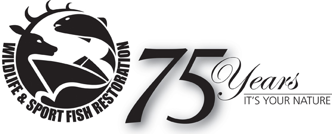WSFR 75 Years Logo