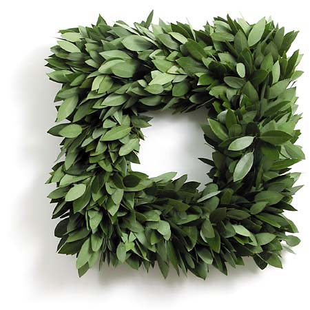 Fresh Designer Myrtle Frame