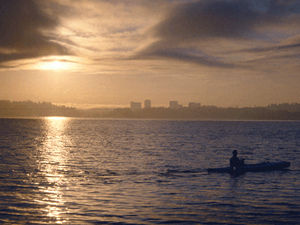 Jumelles Vision Nocturne NV300 | 300m IR + Avis 4,8/5