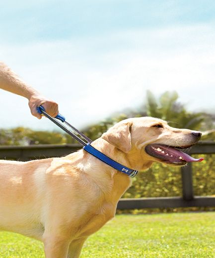 Bamboo Quick Control Collar