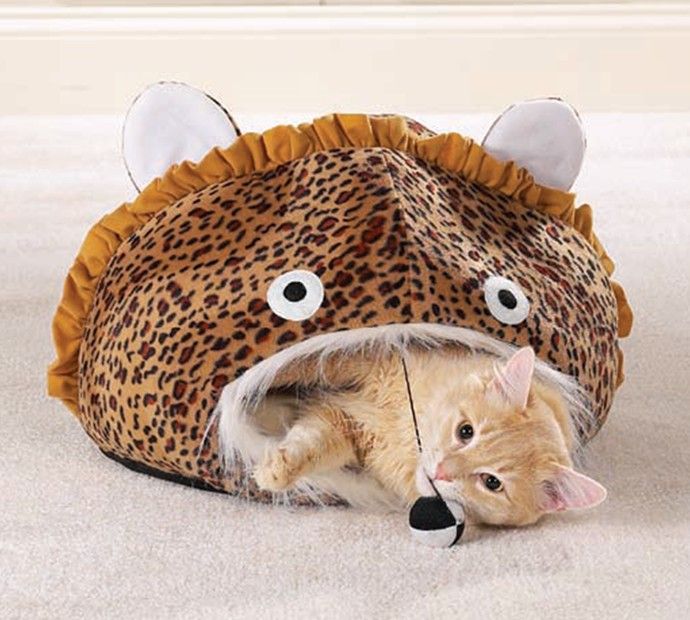 Jungle Cat Cave