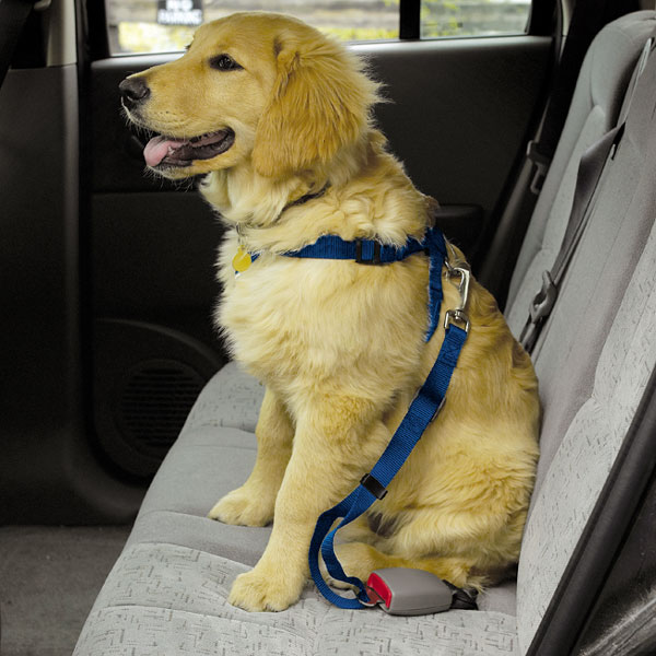 Auto Dog Safety Harnesses